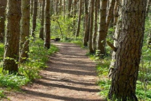 Bilde av Yxney friluftsområde